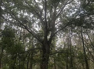 2510 Storm Rd, Lutz, FL 33558