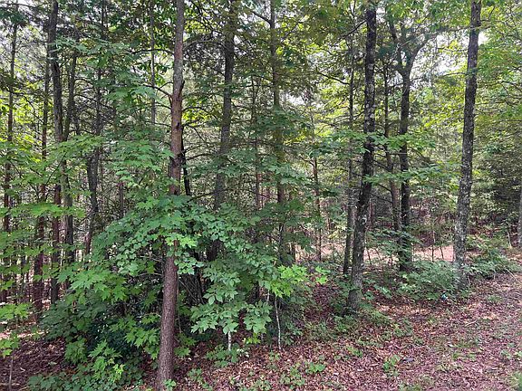 2nd image of 500 Goforth Rd