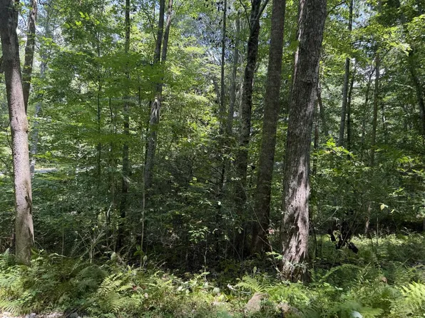 LOT 5 Blair Creek Rdg, Hayesville, NC 28904