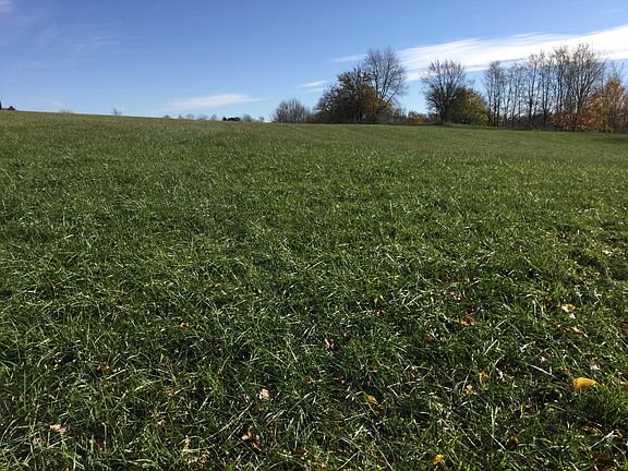 5th image of 721 County Road 204