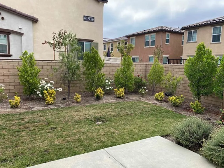 backyard. we have since upgraded to turf (not pictured)