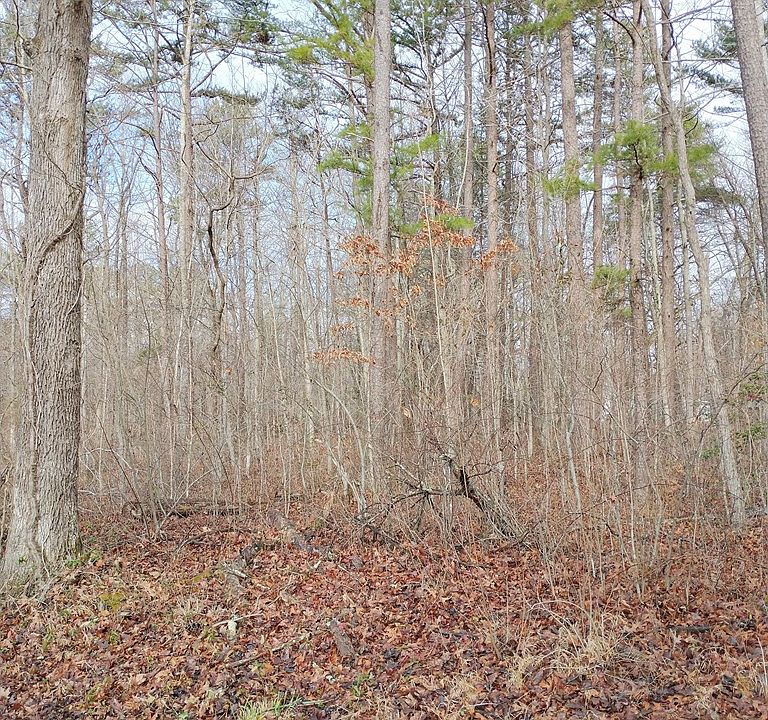 2nd image of Concord Rd