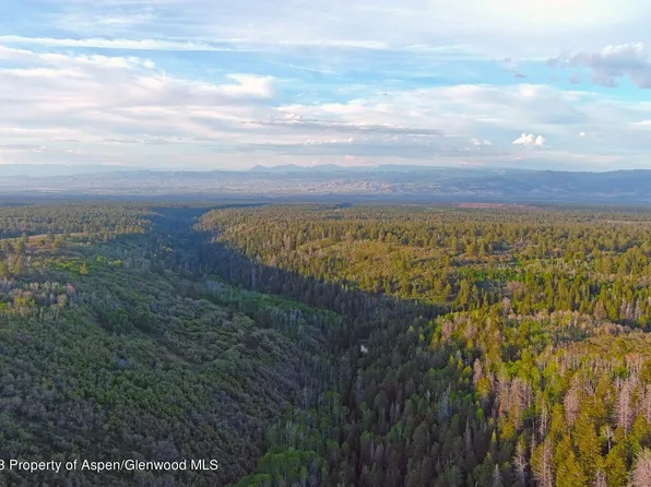 Tbd Government Springs Rd, Montrose, CO 81403