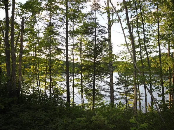 Lot  1 Timber Wolf Drive, Springbrook, WI 54875