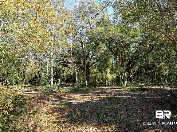 4th image of 9538 Vernant Park Rd