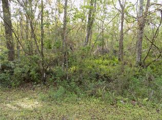 16126 Sunflower Trl, Orlando, FL 32828