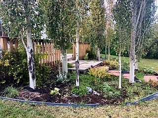 3rd image of 8 Park Ridge Way Rural Stettler #6
