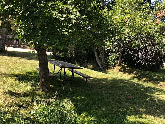 Lush yard
