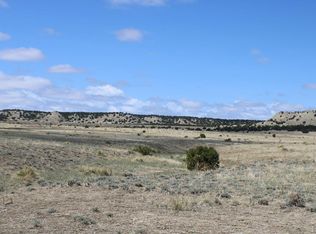Locomotive Ct, Rye, CO 81069