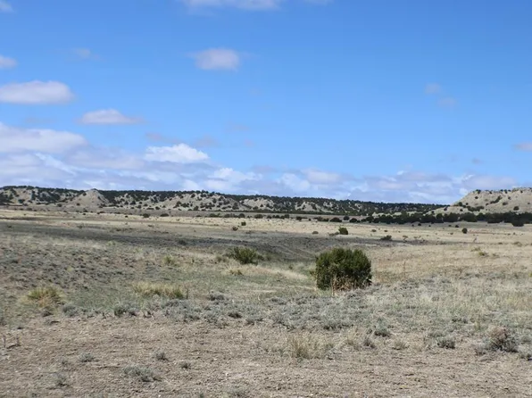 Locomotive Ct, Rye, CO 81069