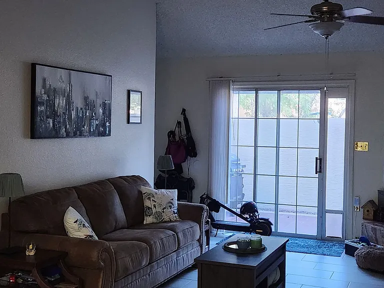 915 S Lola Ln — Photo 10