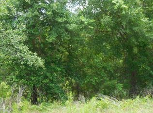 222 Oklahoma Ave, Satsuma, FL 32189