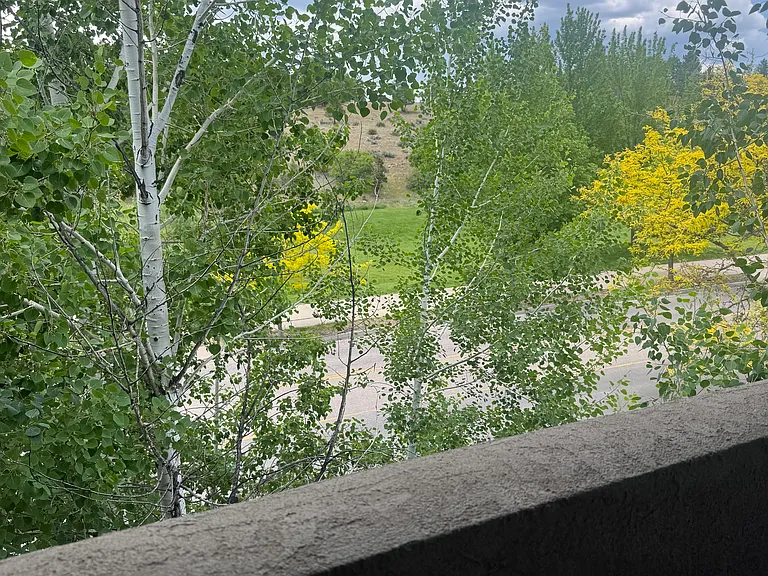 420 Jenkins Ranch Rd — Photo 32