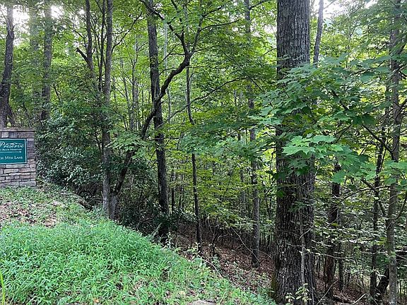 5th image of LOT 13 The Preserve