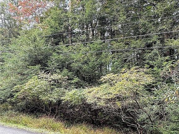 5th image of Bear Creek Lake Dr