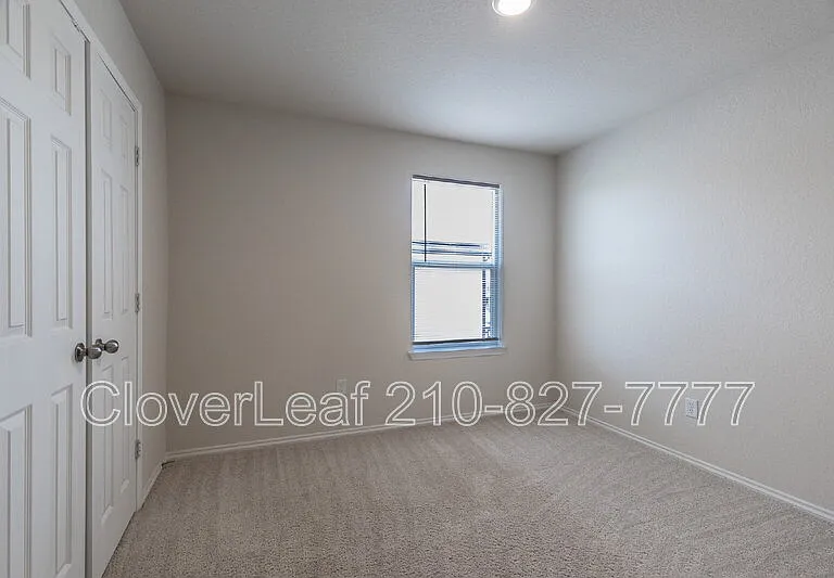 6823 Ashcat — Photo 26