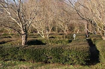5th image of 4800 John Tyler Memorial Hwy