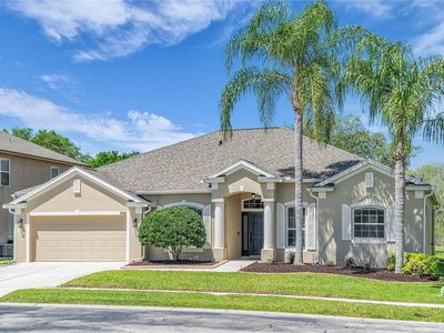 9806 Mountain Lake Dr, Orlando, FL, 32832