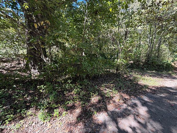 2nd image of 1128 Blue Springs Rd