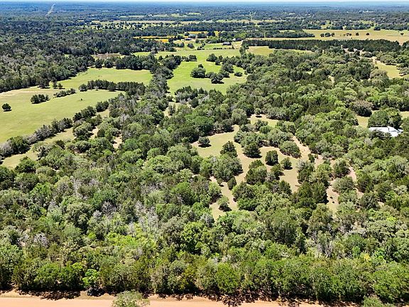 2nd image of Ehlinger Rd