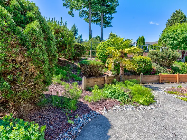 Professionally Landscaped Backyard