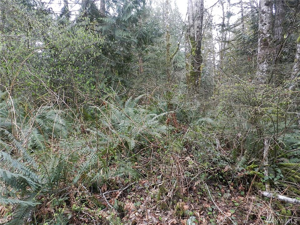 2nd image of 12784 Eastbrook Dr SW