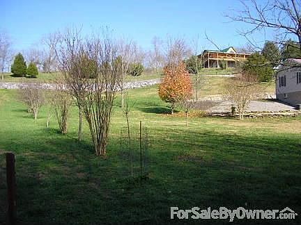 Trees planted 6' from property line
						:
						West side of home.