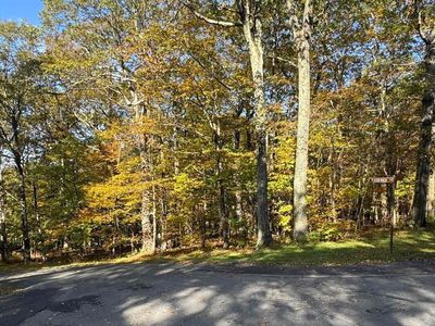 Winter Wren Ln, Roseland, VA, 22967