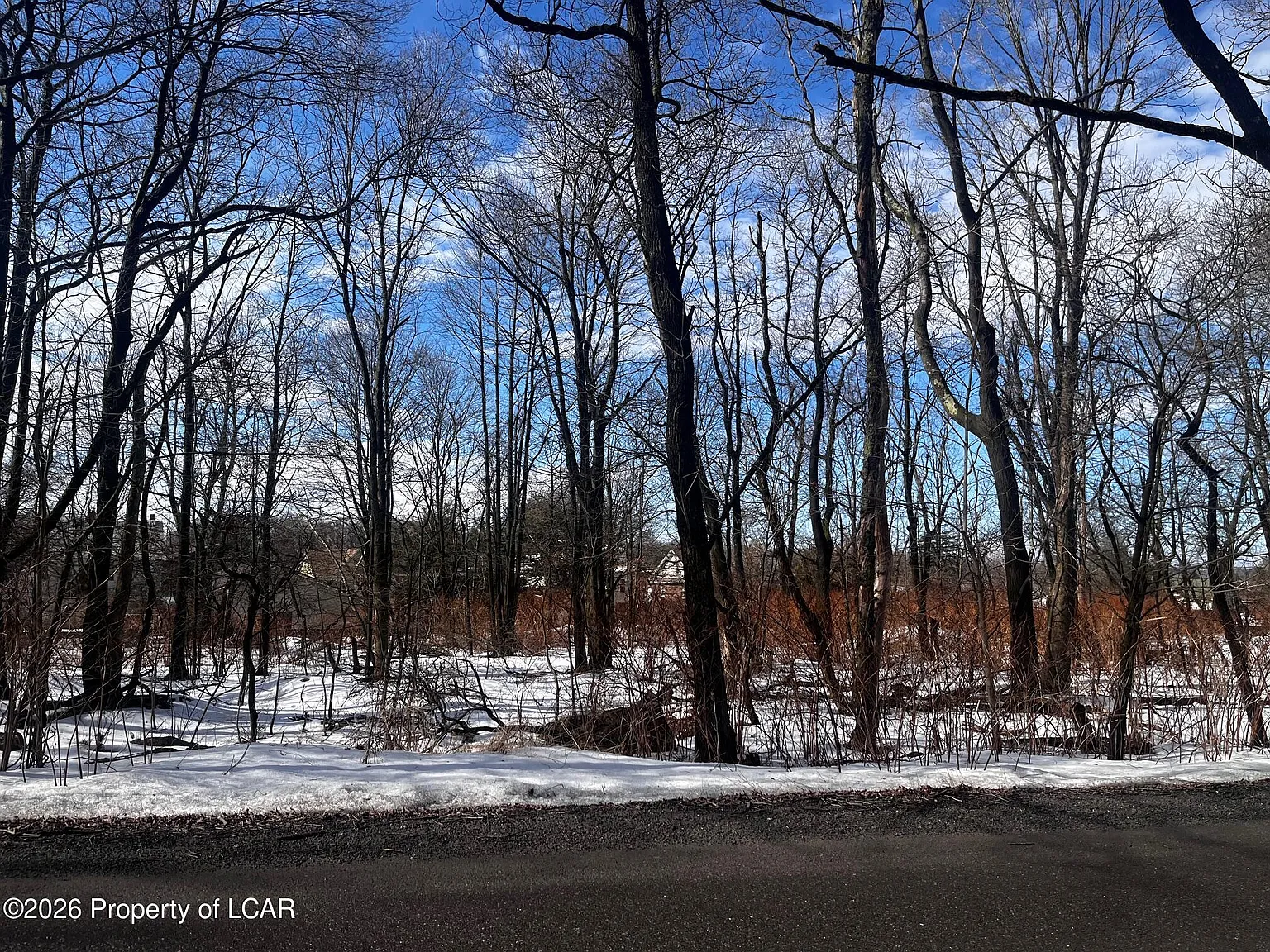 Tresckow Rd photo 1