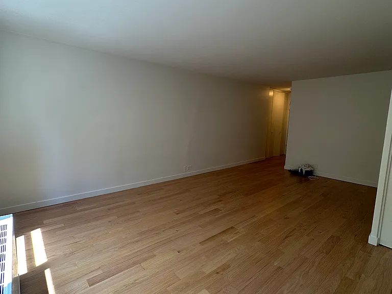 333 E 49th St #3P — Photo 5