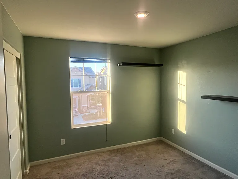 3217 Auburn Leaf Loop — Photo 13