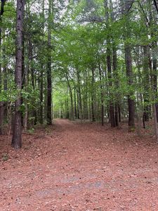 0 Red Bank Ln Lot 15, Melfa, VA, 23410
