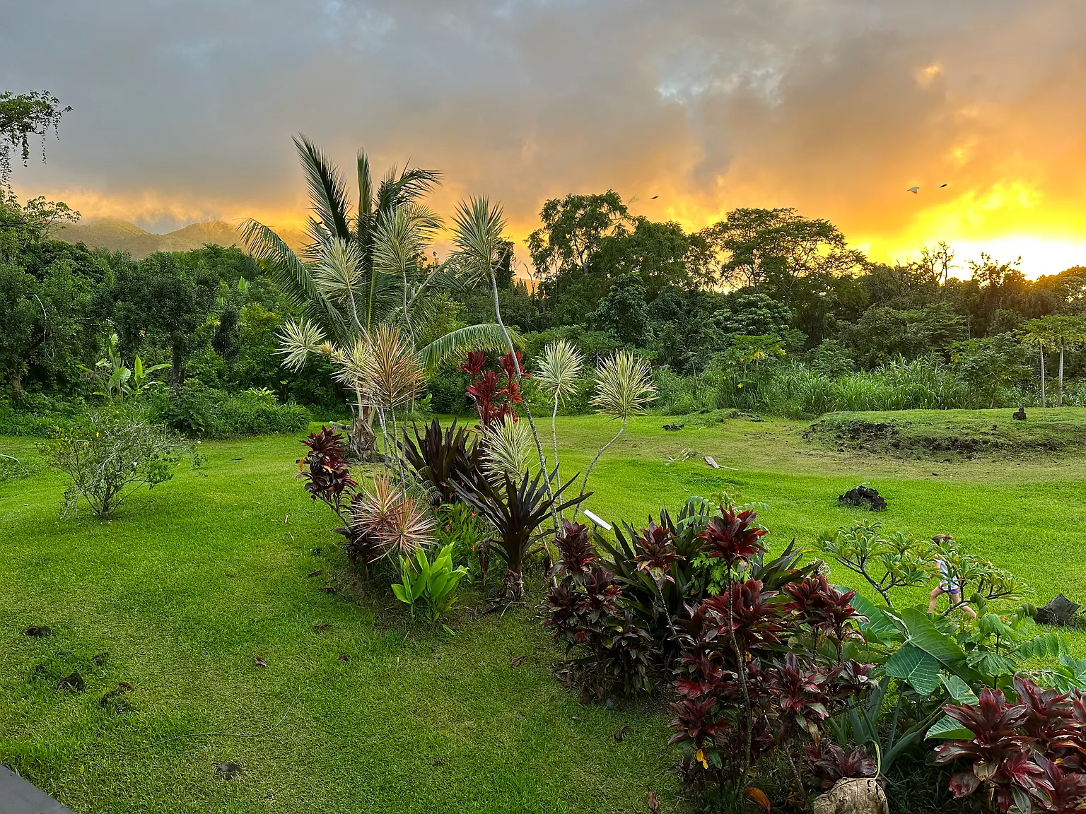 Alalele Pl, Hana — Photo 1