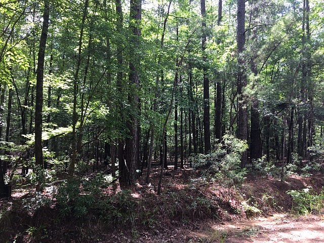 2nd image of 7932 Jenkins Rd