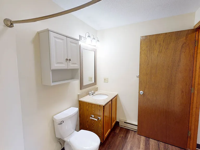Newly renovated Bathroom with custom luxury plank flooring