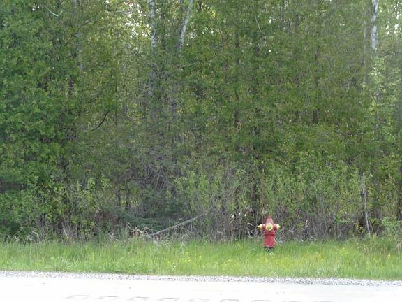 4th image of Us Highway 23 South 13 Acres