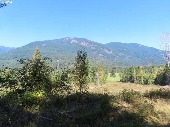 Bennett Rd #2 & 3, Randle, WA 98377