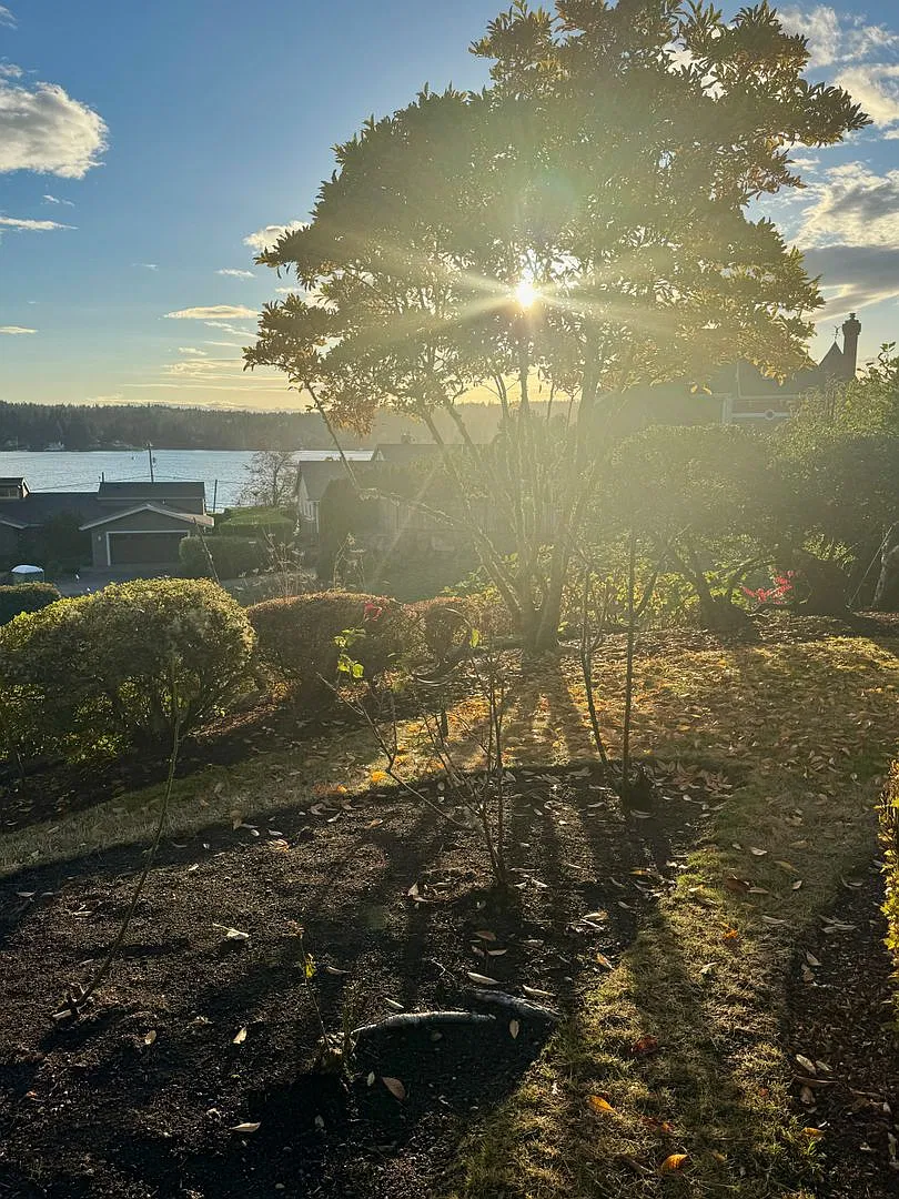 Stunning new construction duplex apartment in the much sought after Old Town Poulsbo — Photo 3