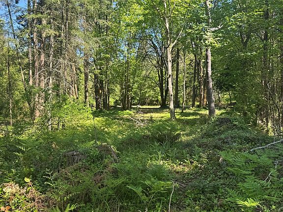 3rd image of 12820 SW Bank Rd