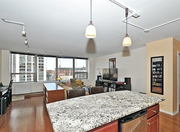5th image of 1460 N Sandburg Ter APT 610