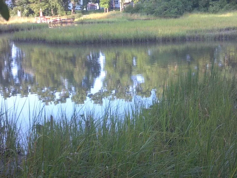 This beautiful home backs up to Hoffler Creek an inlet off the James River.