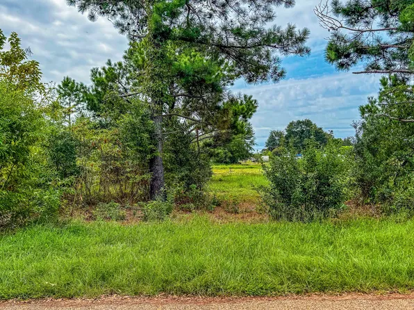 LOT 82 Circle Dr, Chandler, TX 75758