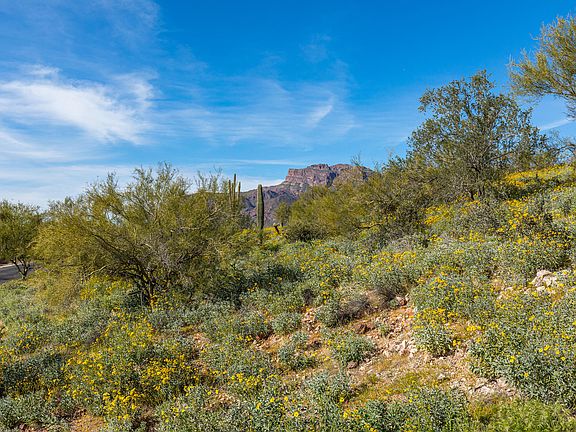 2nd image of 3933 S Avenida De Angeles Lot 105