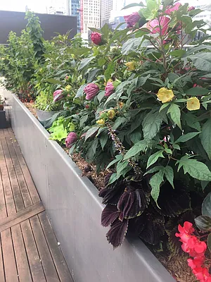 Sold by New York Condo & Real Estate | media 1