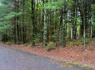 Twin Lakes Rd, Blue Ridge, GA 30513