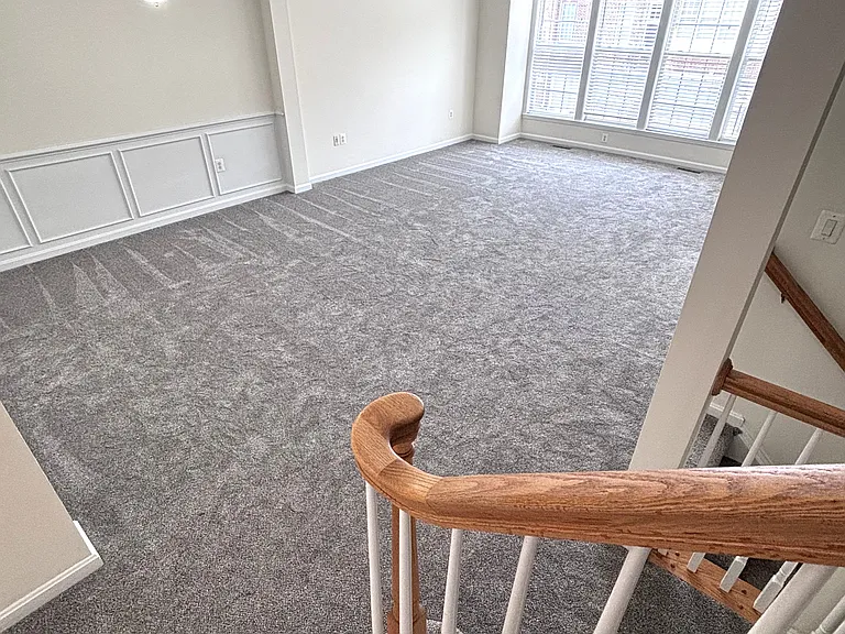 Main level