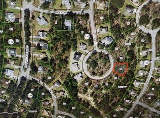 12 Smilax Ct S, Homosassa, FL 34446