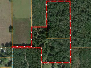 521 NW Fairway Rd, Mayo, FL 32066