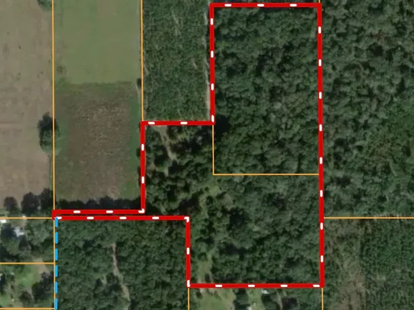 521 NW Fairway Rd, Mayo, FL 32066