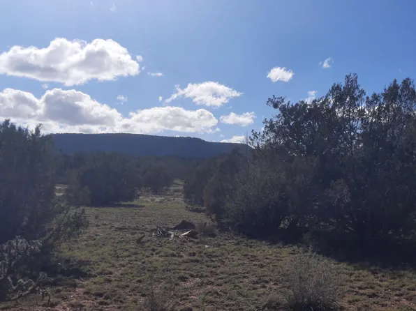 54243 N Via De Oro Pkwy, Seligman, AZ 86337